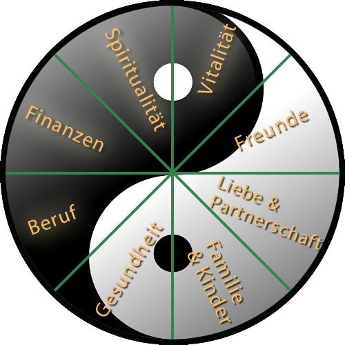 Das Lebensrad: eine in acht Segmente geteilte Yin-Yang-Scheibe mit den Bereichen Beruf, Finanzen, Spiritualität, Vitalität, Freunde, Liebe und Partnerschaft, Familie und Kinder sowie Gesundheit.